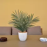 Apartament Roof