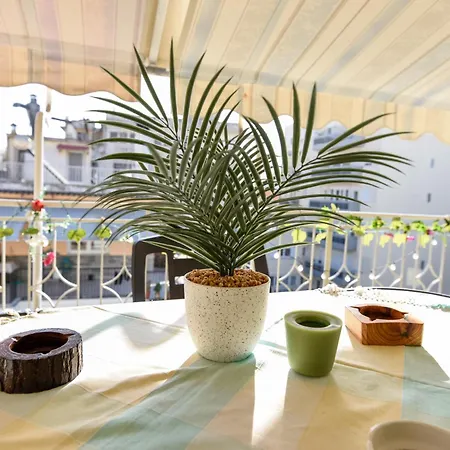 Appartement Roof *