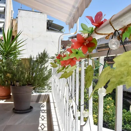 Roof Apartment