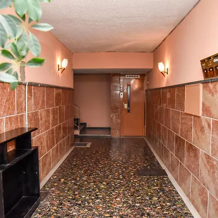 Roof Apartment *